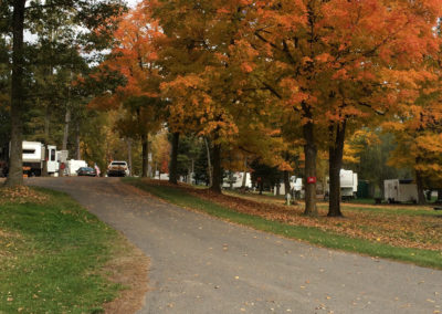 Trout Lake RV Park and Campground